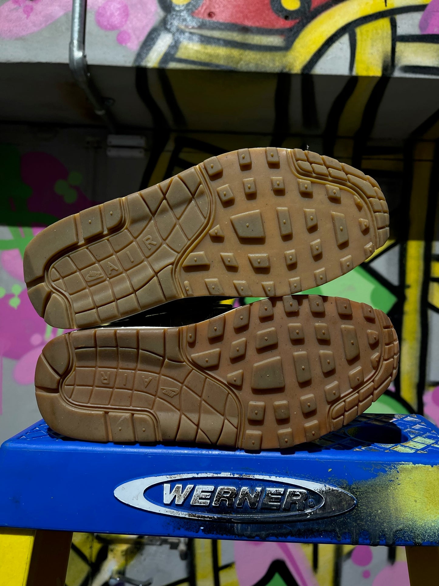 AIR MAX 1 PRM WMNS ATMOS ANIMAL CAMAL