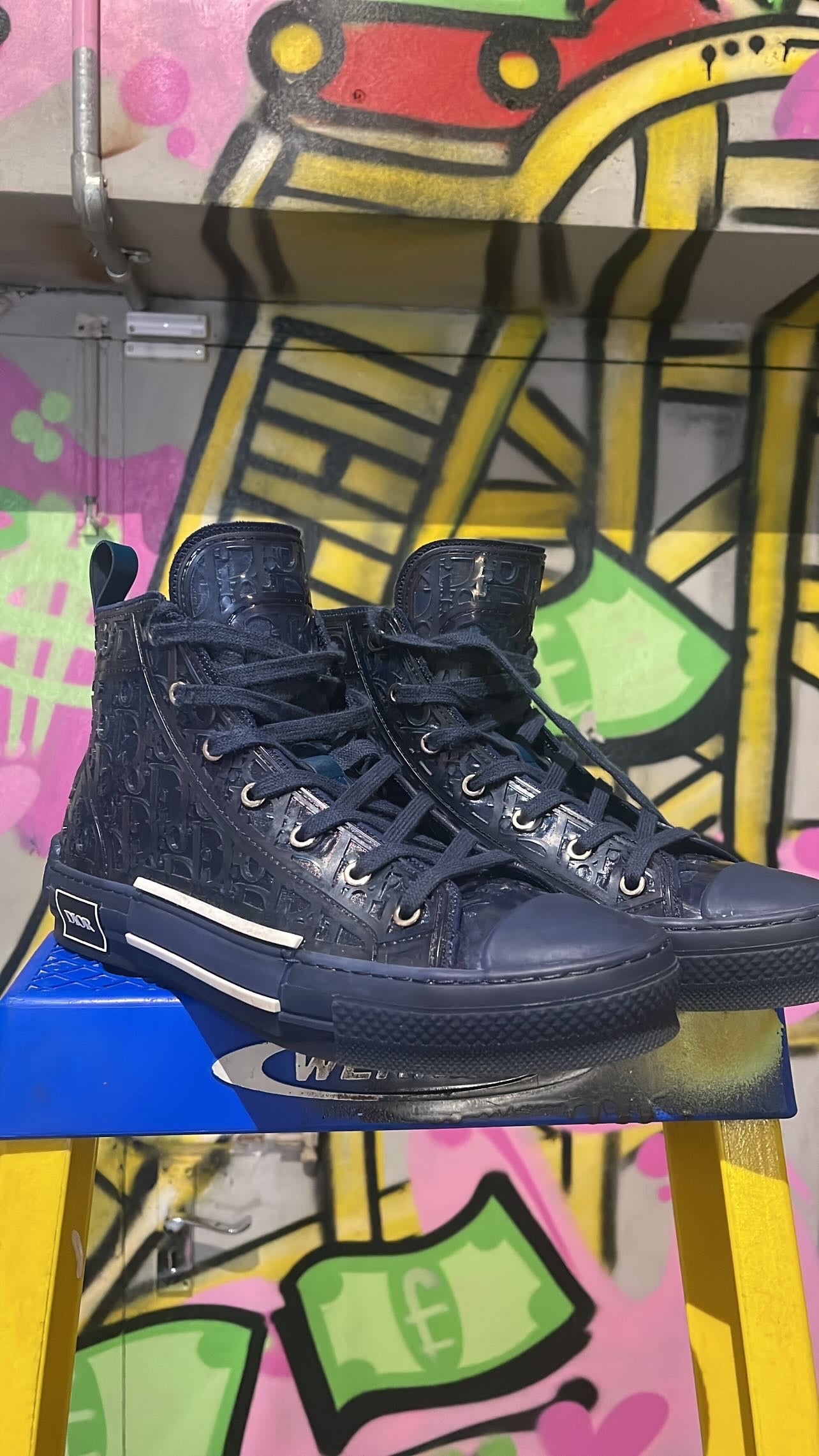 Dior High Top Sneakers