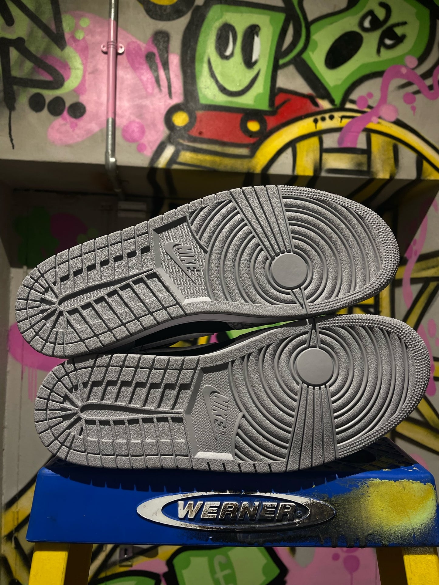 AIR JORDAN 1 MID SE ELEPHANT PRINT