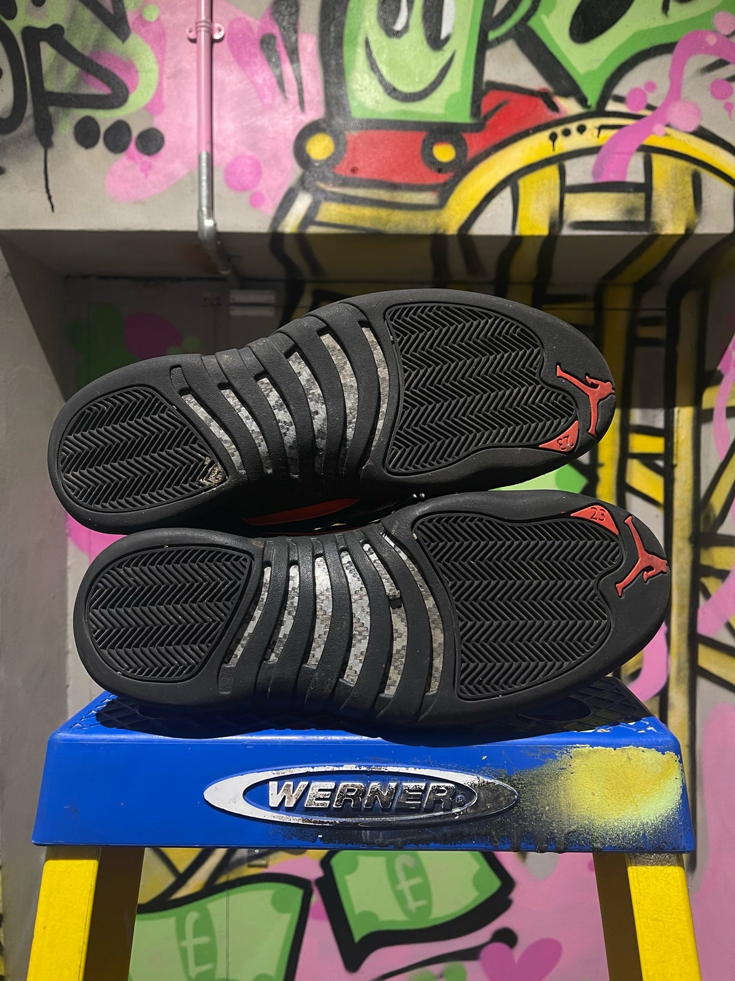 AIR JORDAN 12 LOW BRED