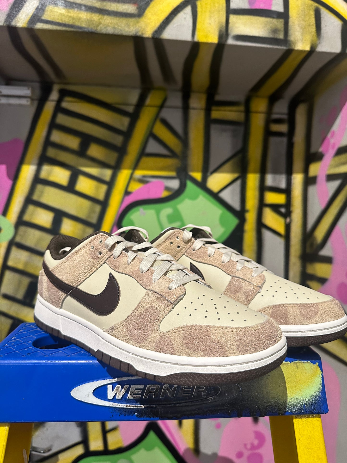Nike Dunk Low Beach