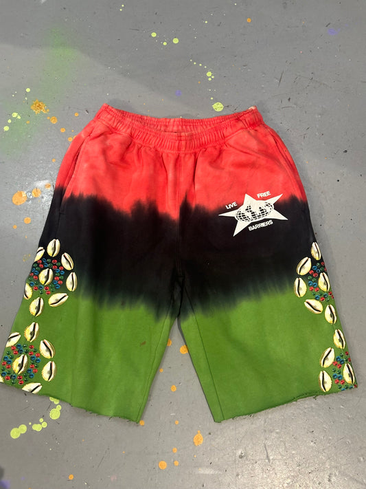 Barriers Multicoloured Shorts