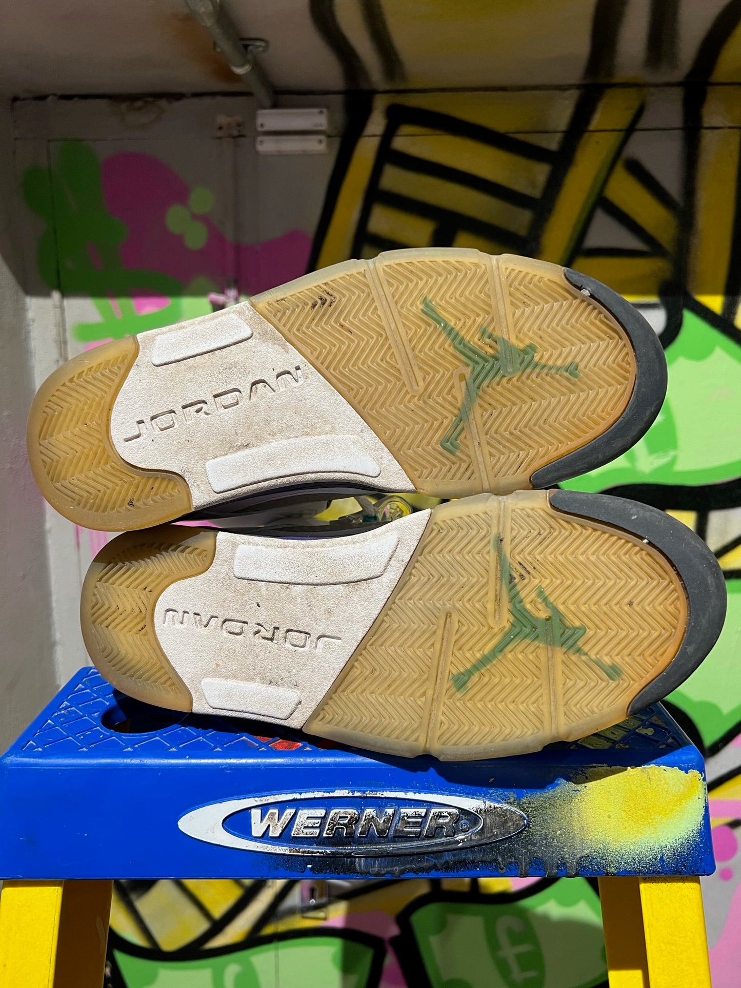 AIR JORDAN 5 RETRO 'GRAPE'