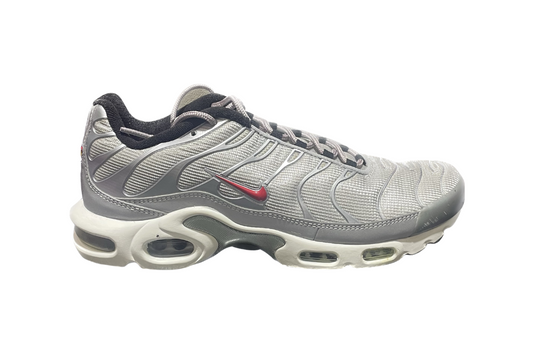 NIKE AIR MAX PLUS QS TN SILVER.png