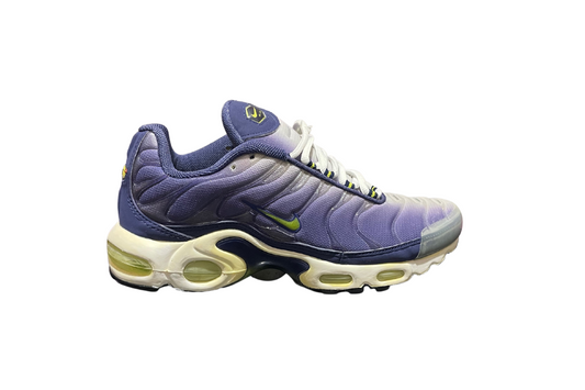 NIKE AIR MAX PLUS TN (1999).png