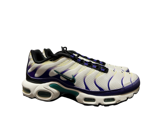 NIKE AIR MAX PLUS WHITE BLUE