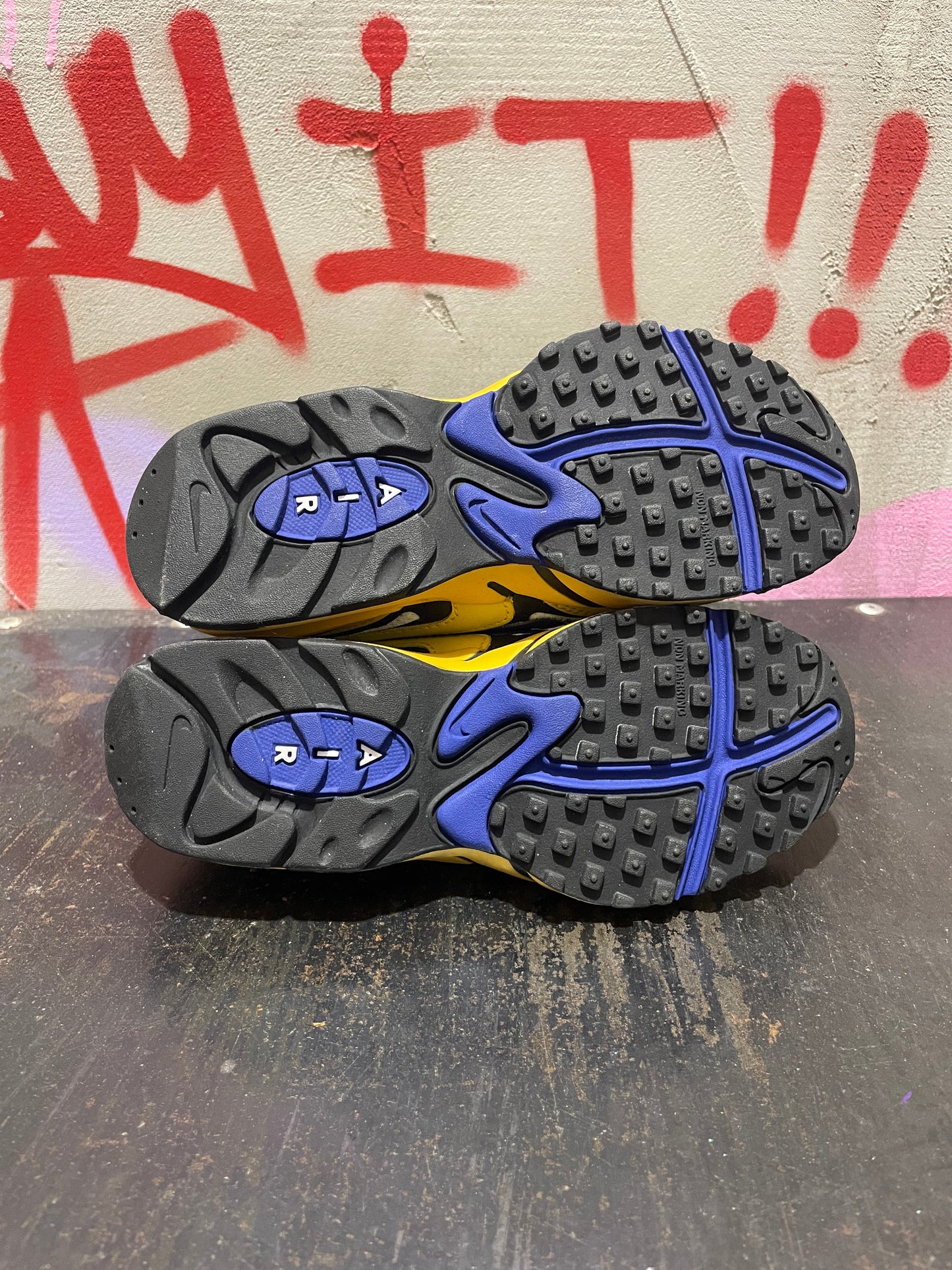 NIKE AIR MAX PLUS TN (1999)