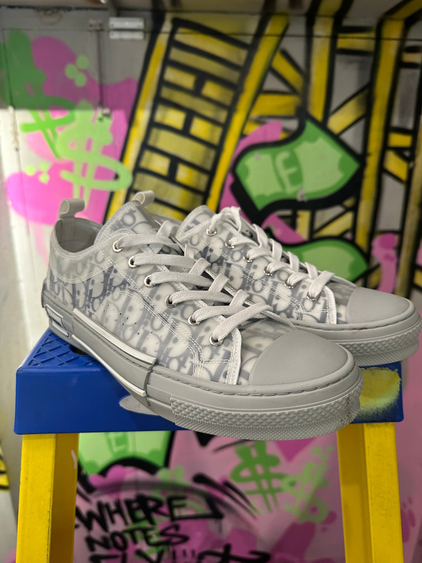 DIOR B23 LOW OBLIQUE