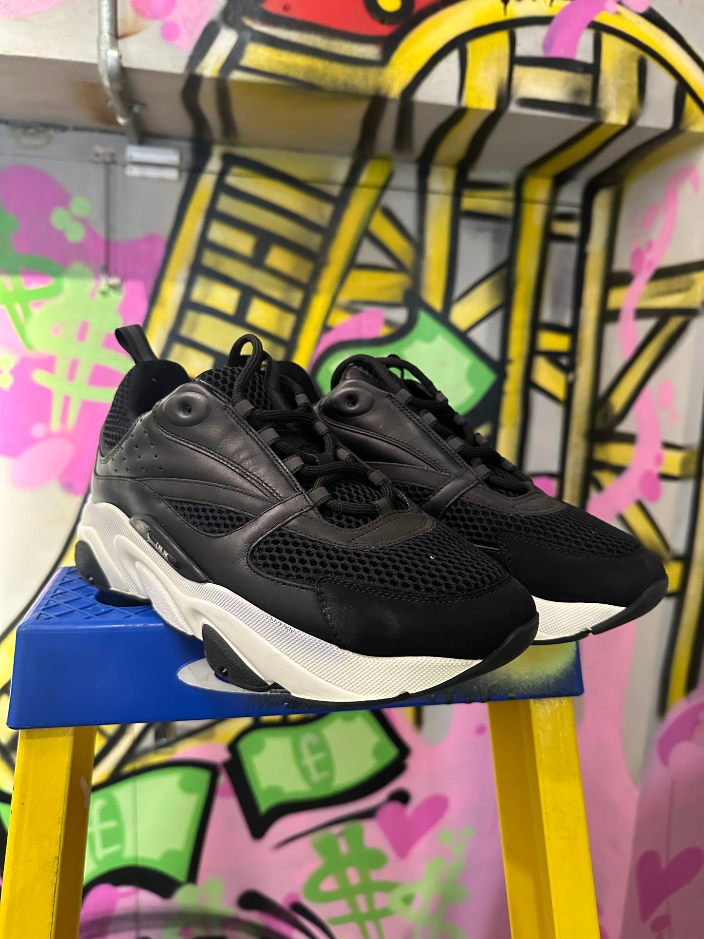 DIOR B22 BLACKED OUT