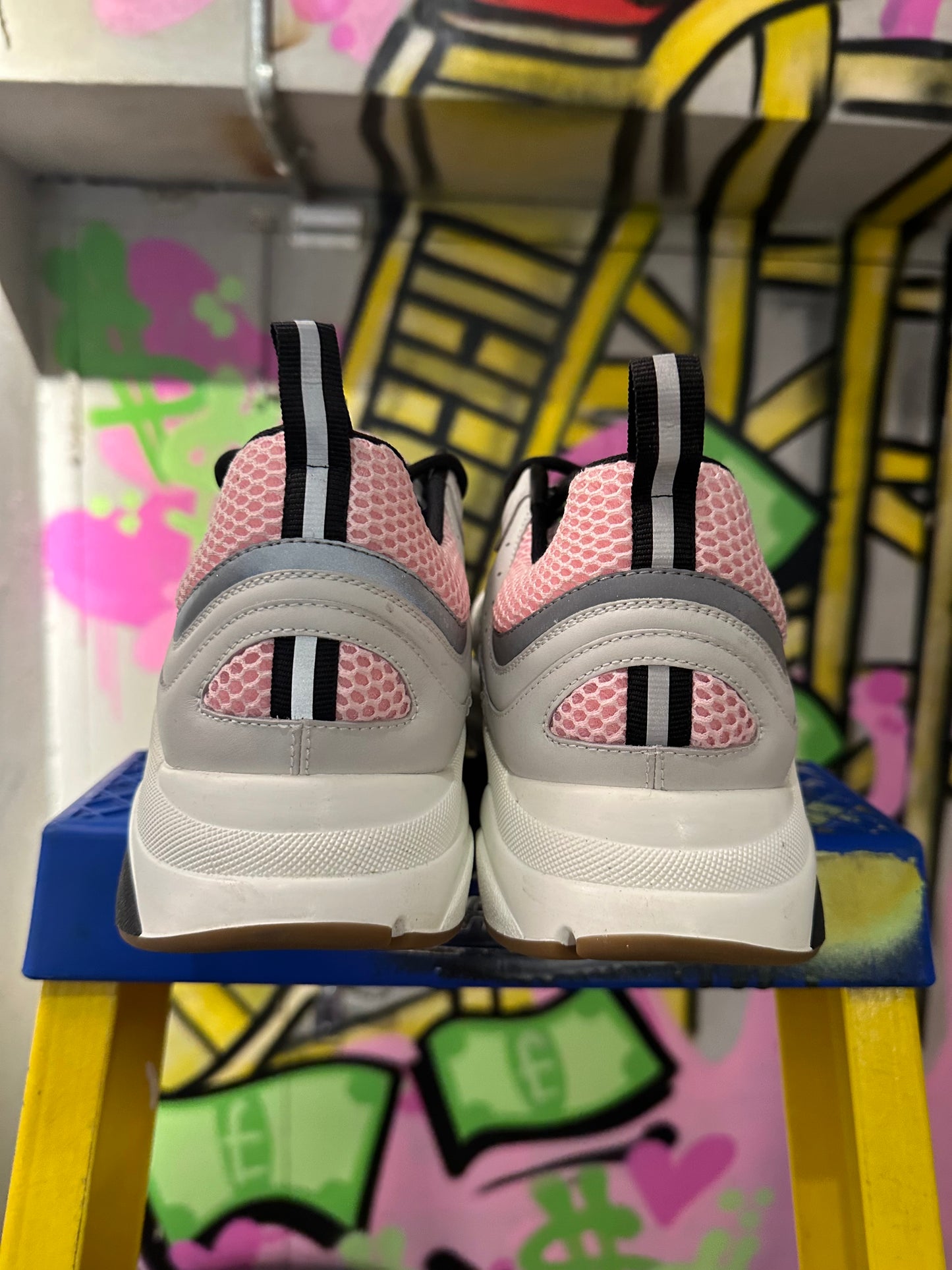 DIOR B22  PINK SALMON