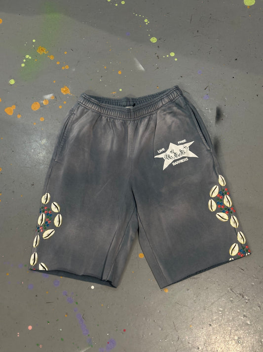 Barriers Grey Shorts