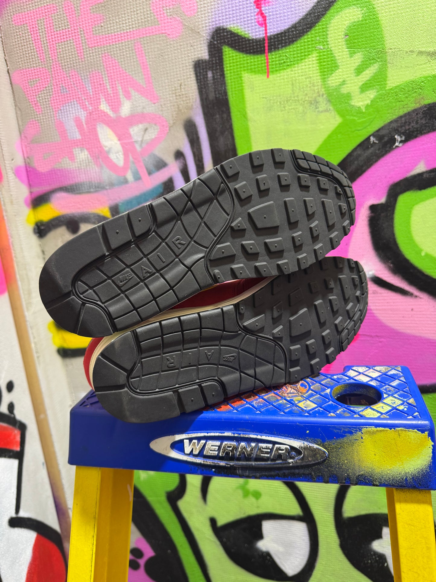 NIKE AIR MAX 1 FLORAL