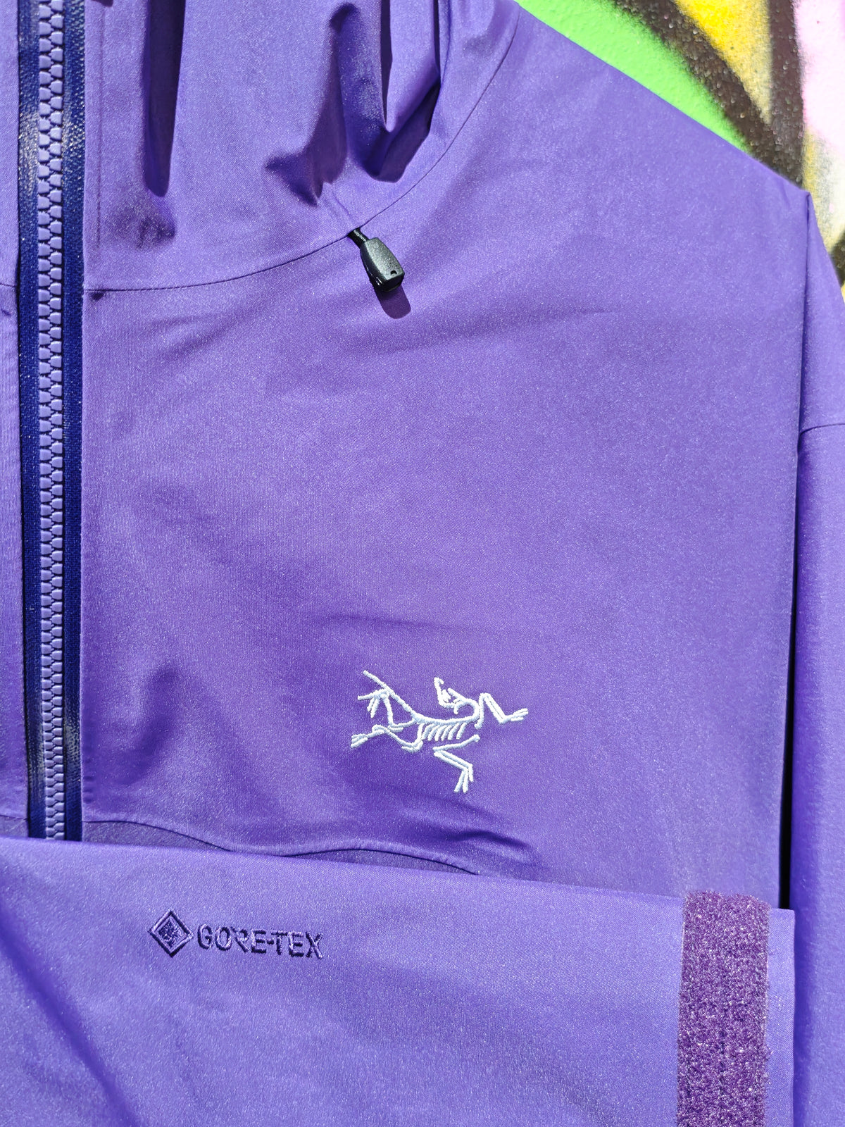 Arc'teryx Purple GORE-TEX Shell Jacket