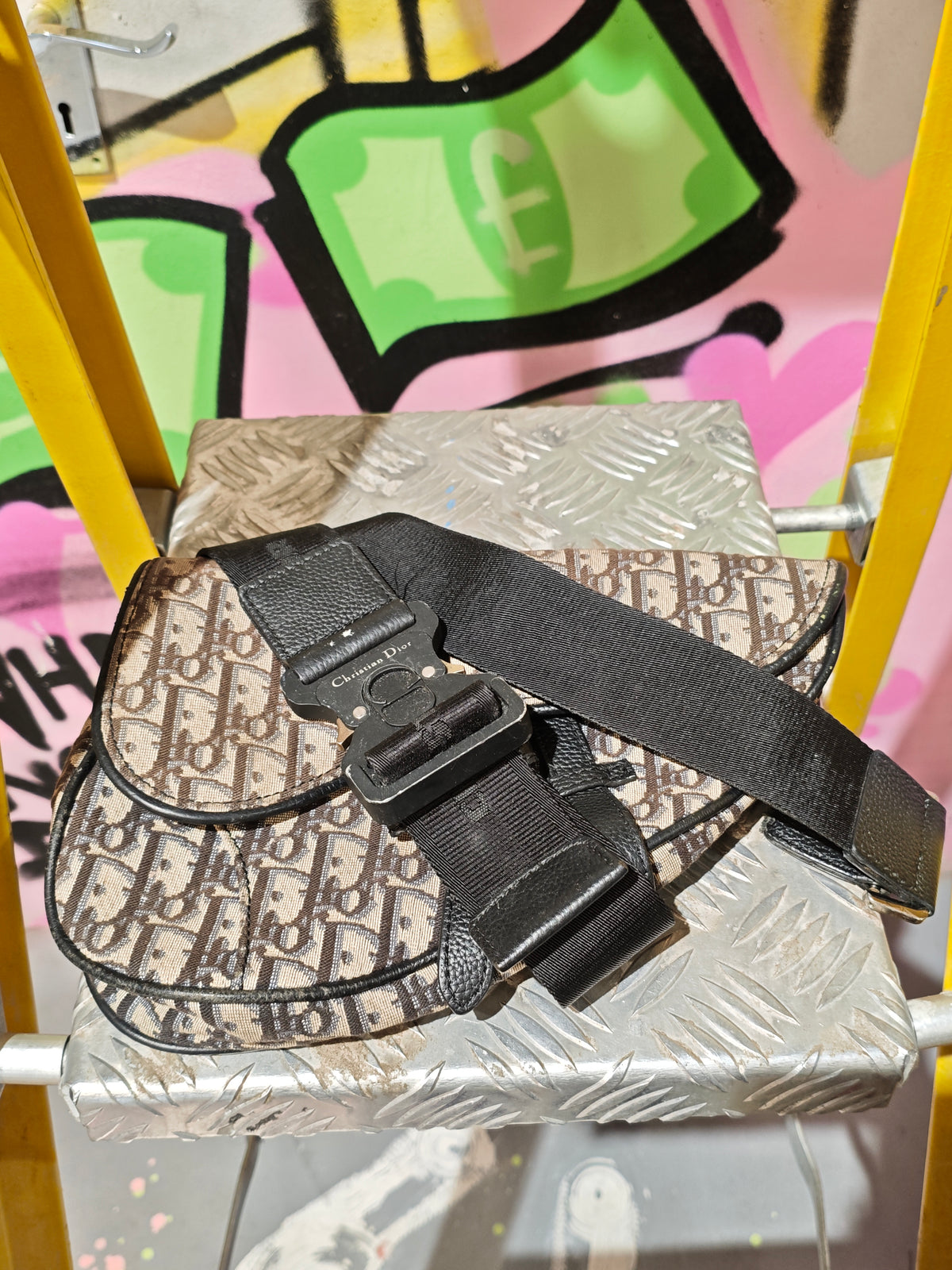 Dior Monogram Bag