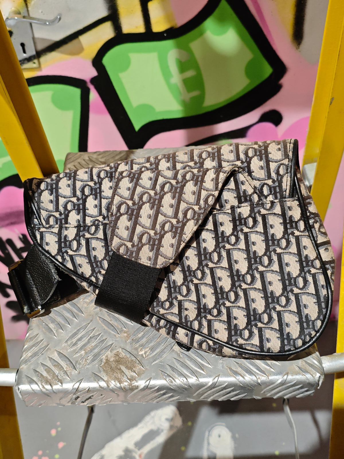 Dior Monogram Bag