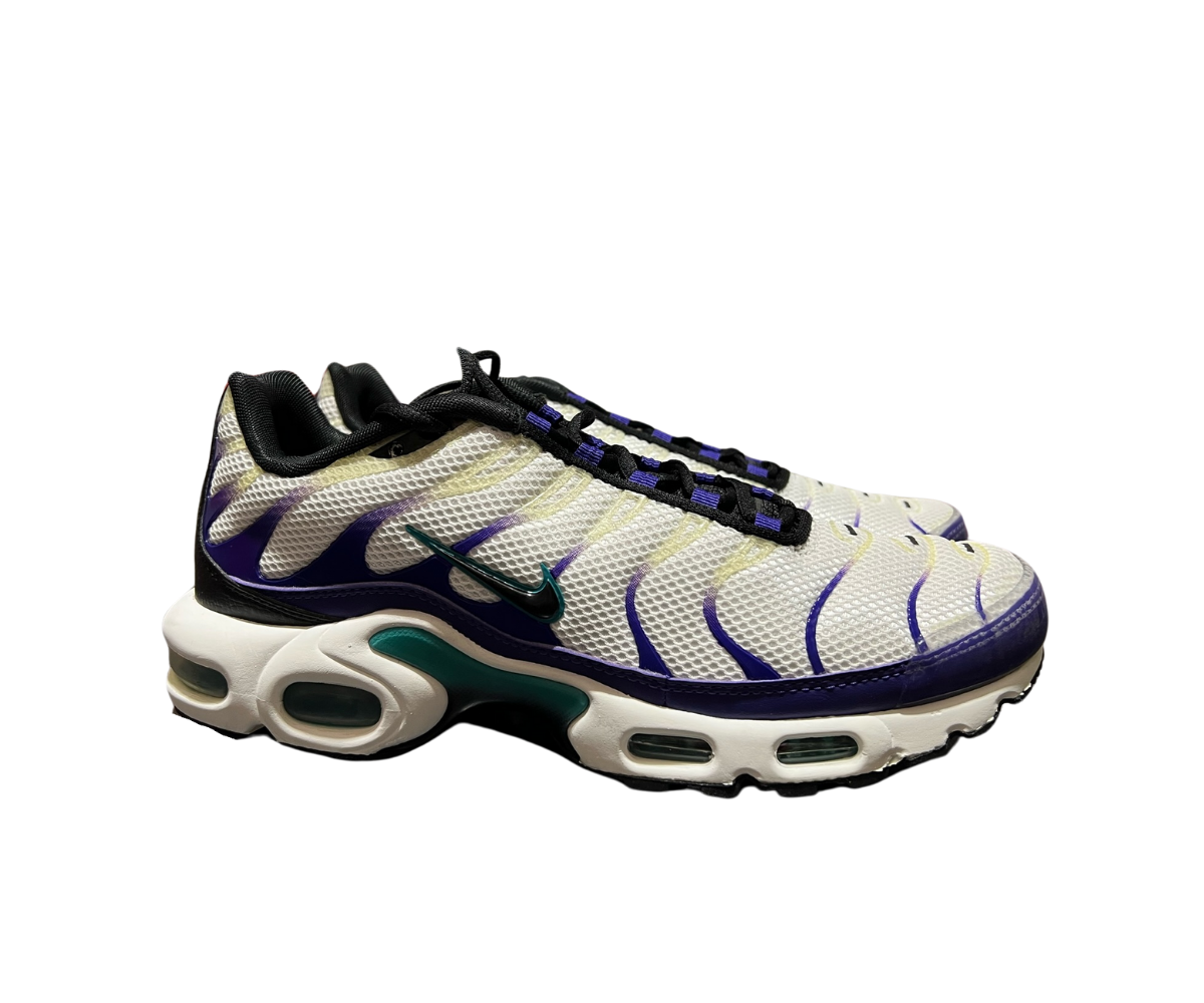 NIKE AIR MAX PLUS WHITE BLUE
